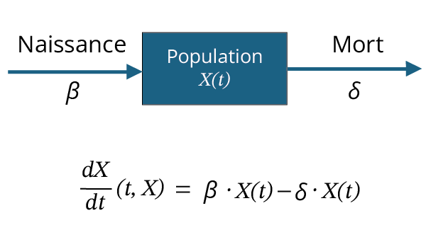 Population, flèches d’entrées et de sorties qui représentent les variations positives et négatives qui affectent cette population.