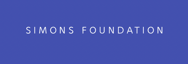 Logo Simons