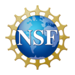 Logo NSF