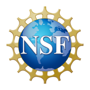 Logo NSF